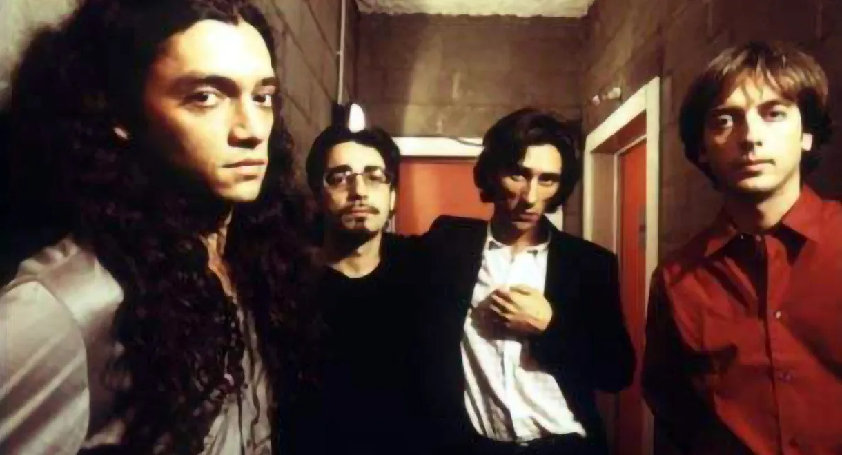 Marlene Kuntz: Petali di Candore