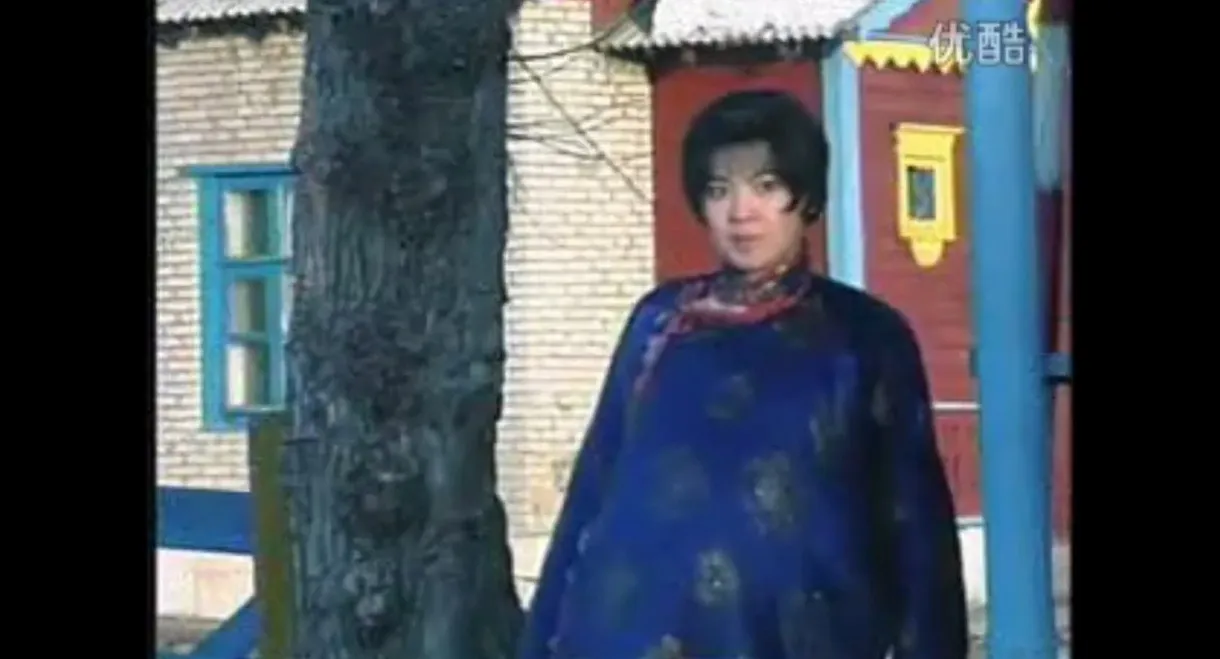 Siilen’s Other Half