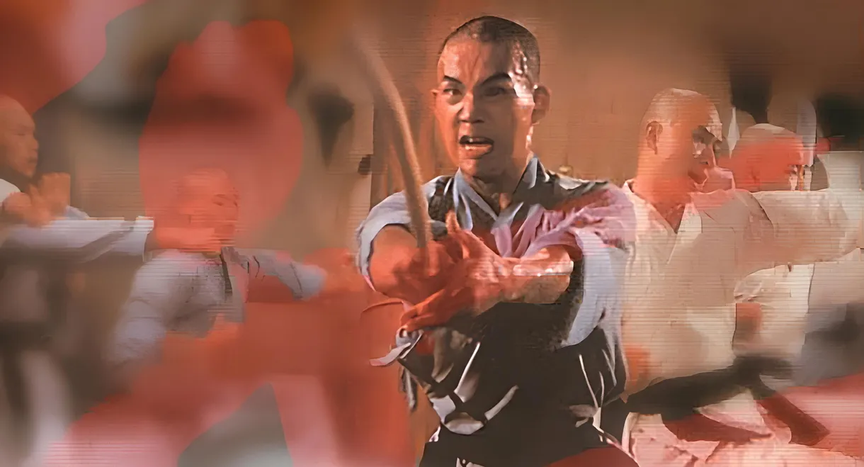 War of the Shaolin Temple