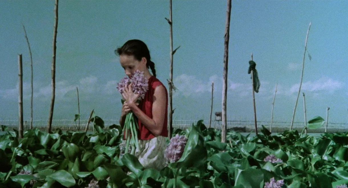 A Speck in the Water