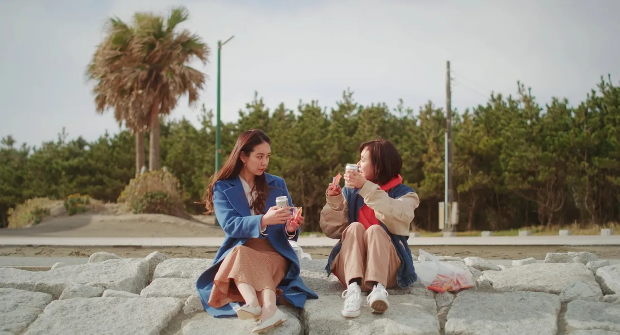 Flowers Blooming on the Shore