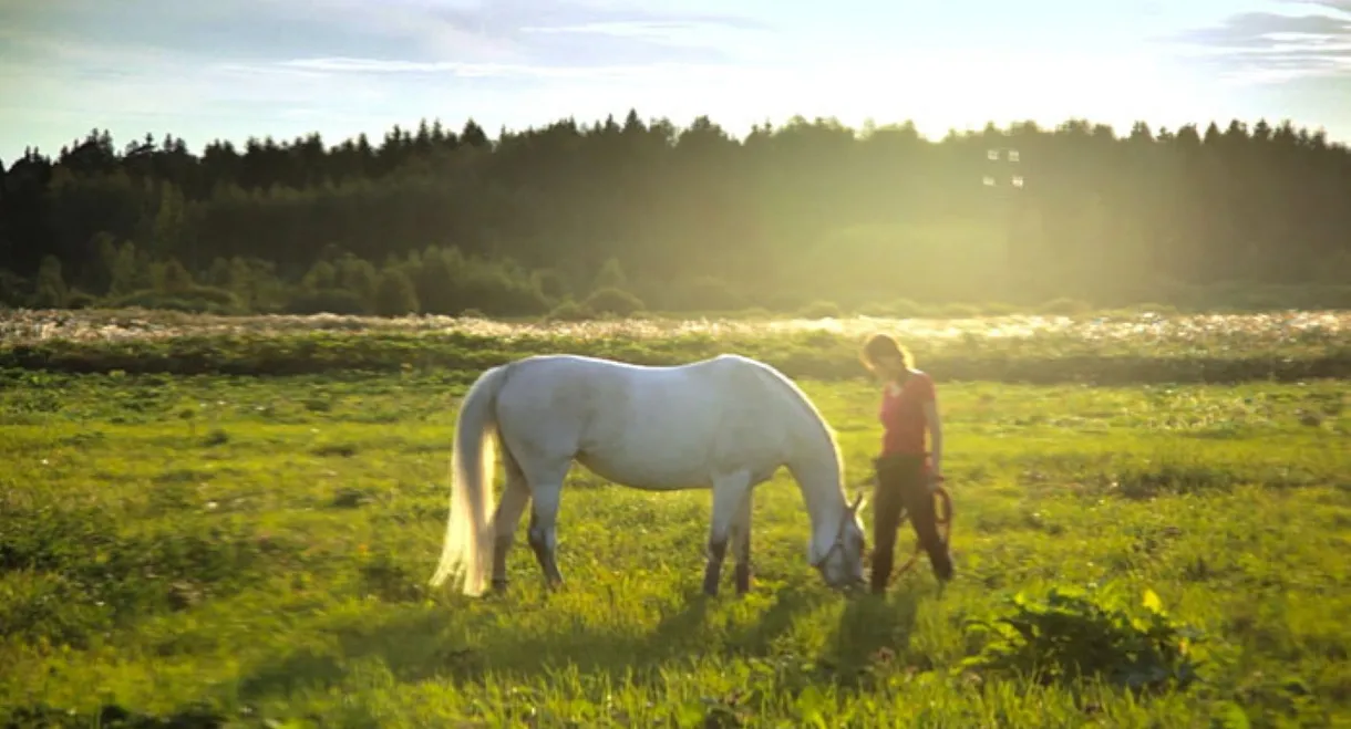 The Art of Communicating with Animals and People