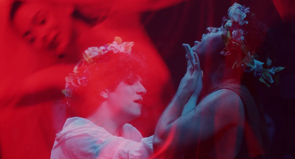 O Bosque dos Sonâmbulos no Teatro Viradalata