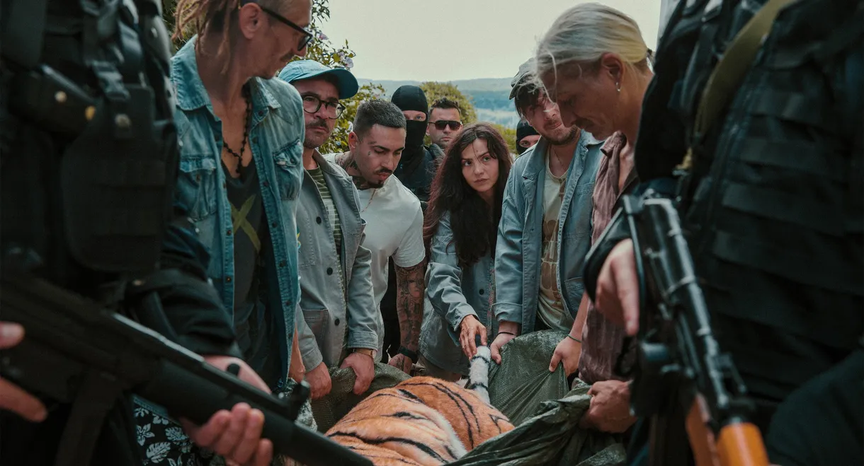 Day of the Tiger