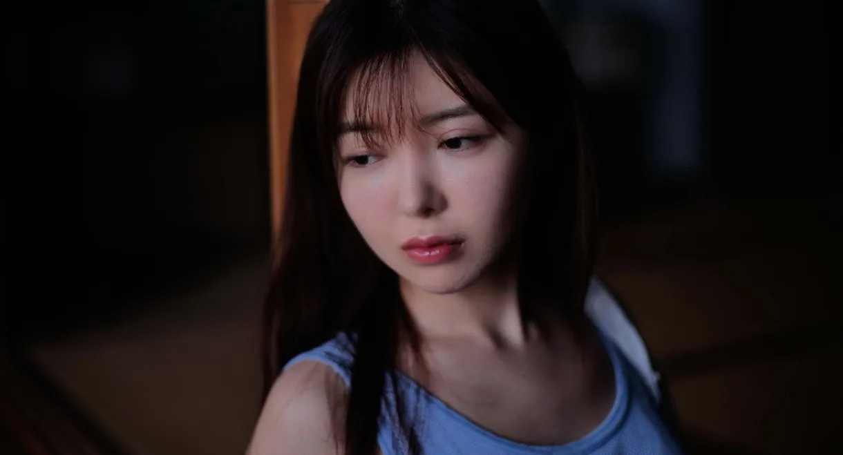 Journey Through the Night