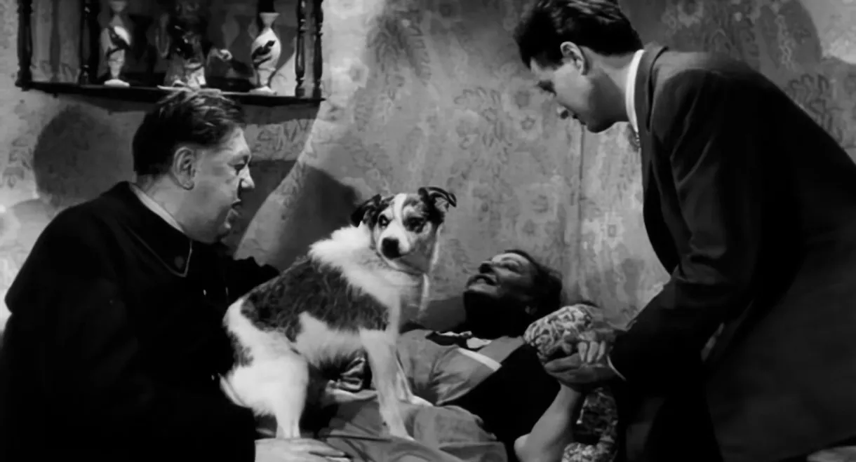 The Impossible Mr. Pipelet