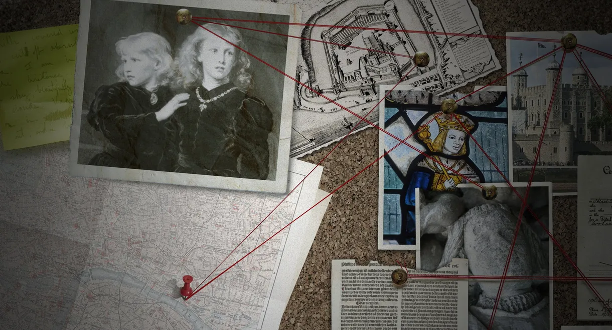 The Princes in the Tower: The New Evidence