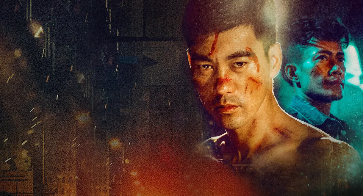 Quan Dao: The Journey of a Boxer