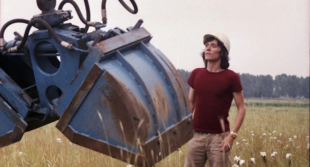 Ich war in Honolulu – wetten?