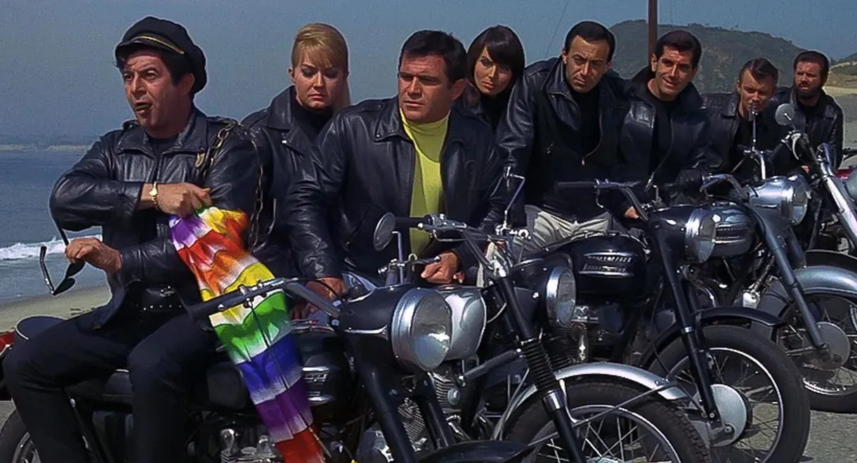 How to Stuff a Wild Bikini