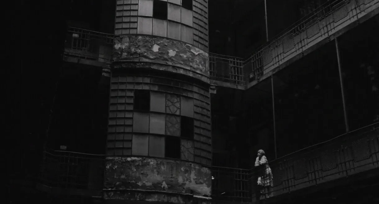 The Lady from Constantinople