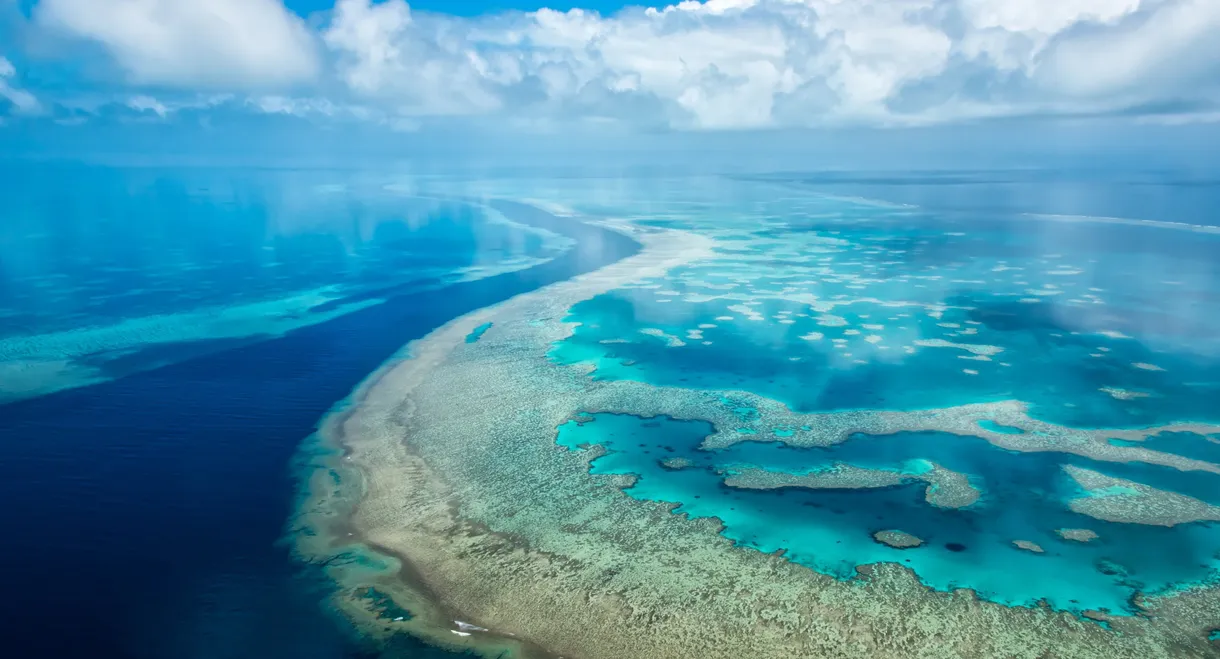 Great Barrier Reef 4K