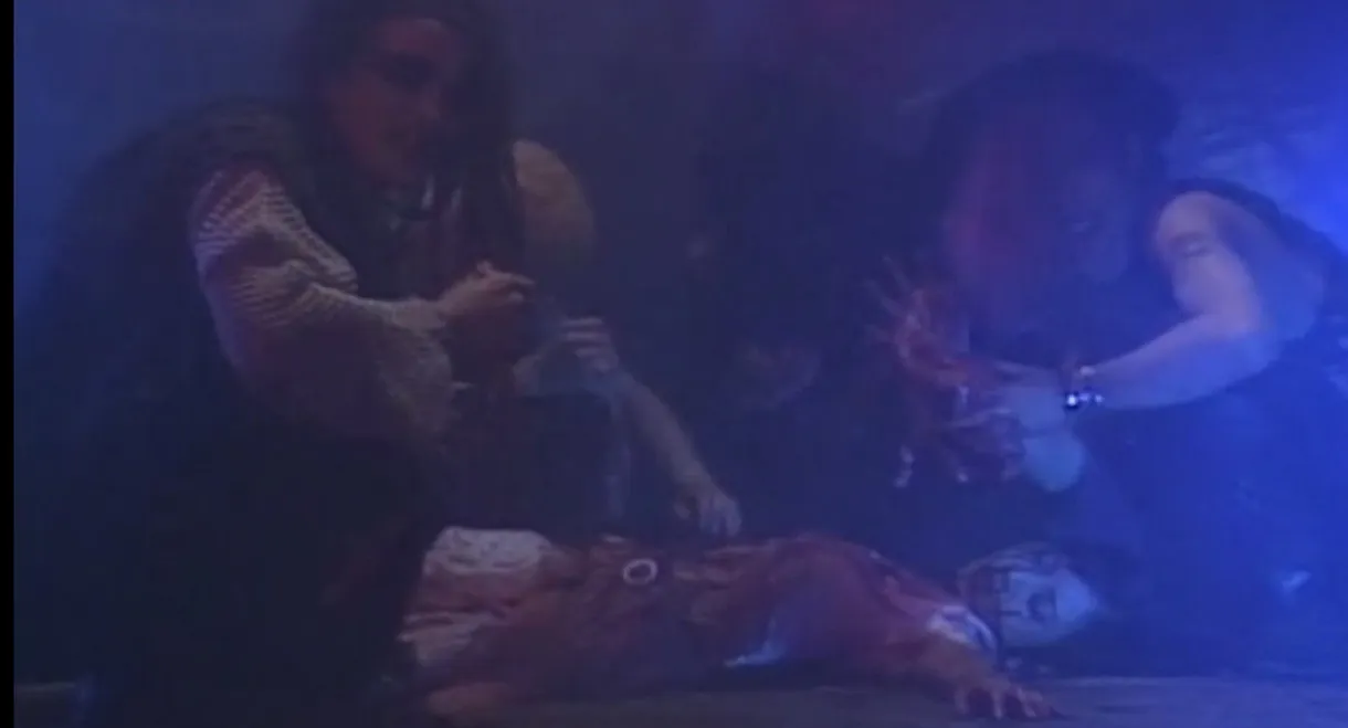 Daikanyama Wonderland Horror