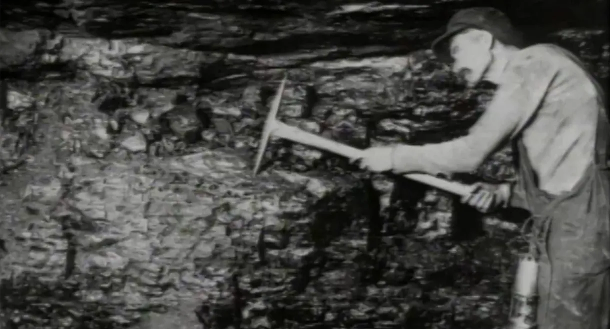 "They Didn't Starve Us Out": Industrial Cape Breton in the 1920s