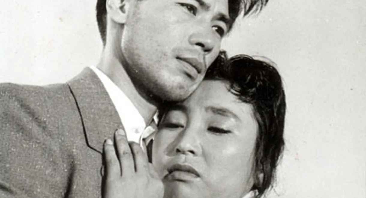 When the Night Comes Again