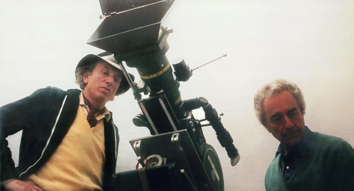 Water and Sugar – Carlo Di Palma: The Colours of Life