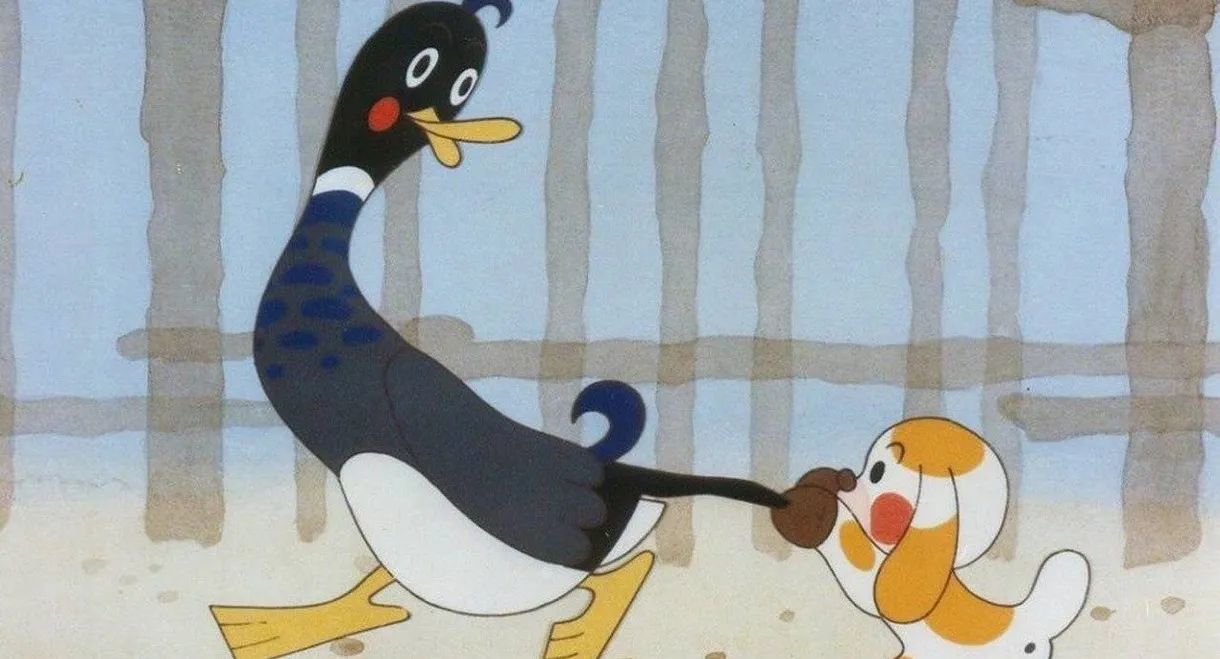 How sun gave puppy its water back