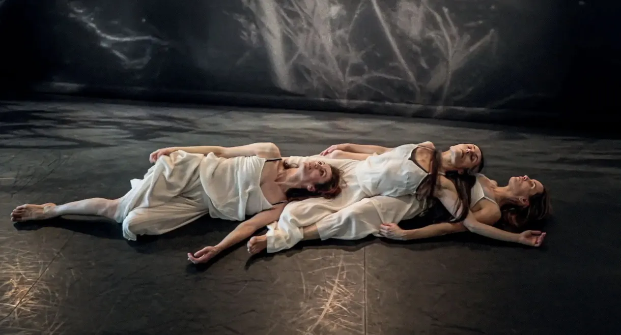 The Carolyn Carlson Company at Work