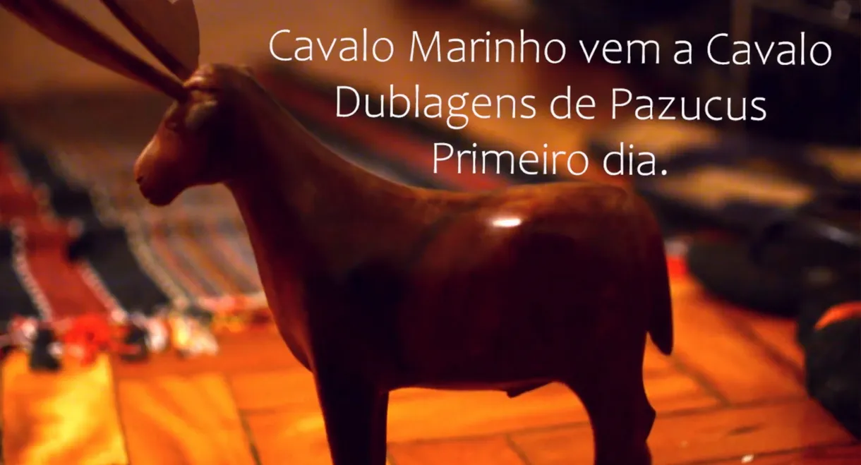 Seahorse comes on horseback