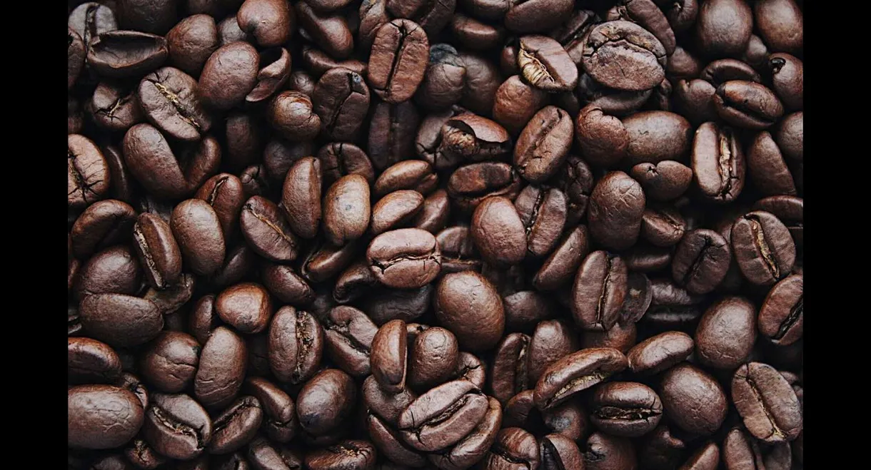 The Lonely Hearts Café