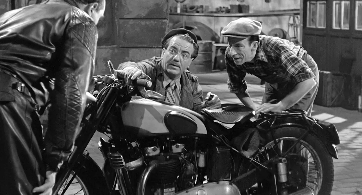 Beauties of the Night