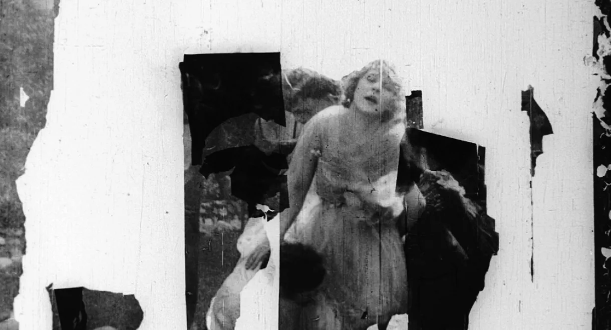 The Social Buccaneer