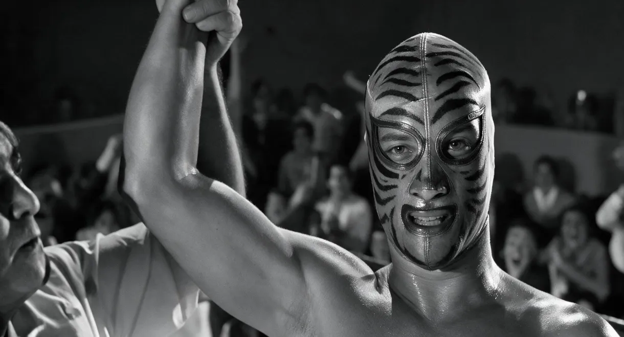 Los tigres del ring