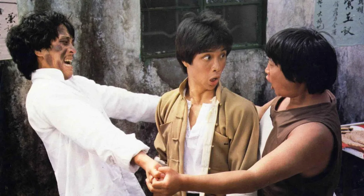 The Incredible Kung Fu Master