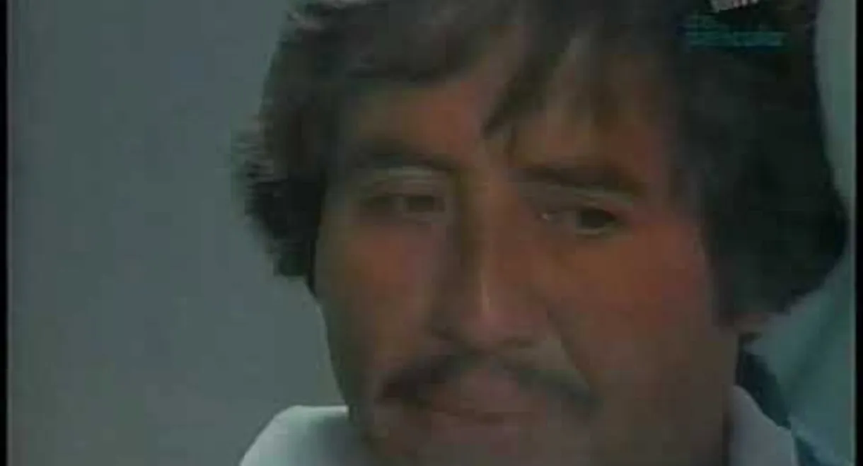 Mojado de nacimiento