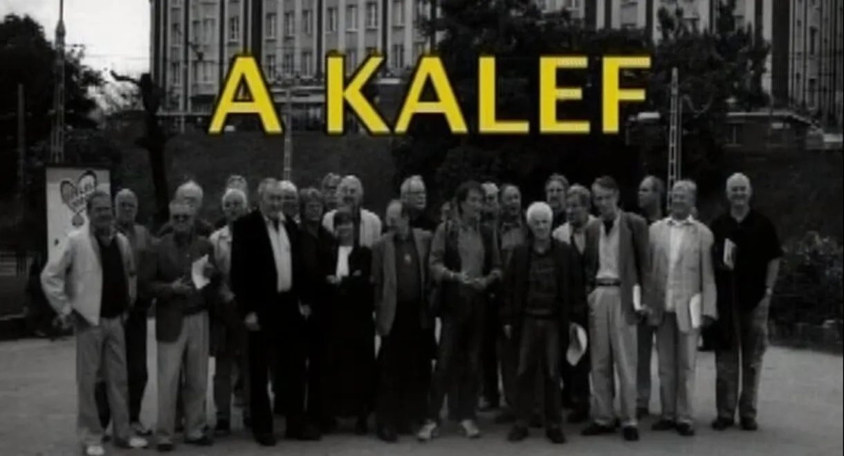 Kalef - A Moszkva téri galeri