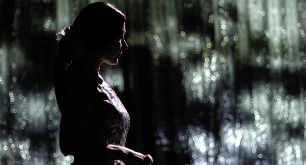 Vita agli arresti di Aung San Suu Kyi