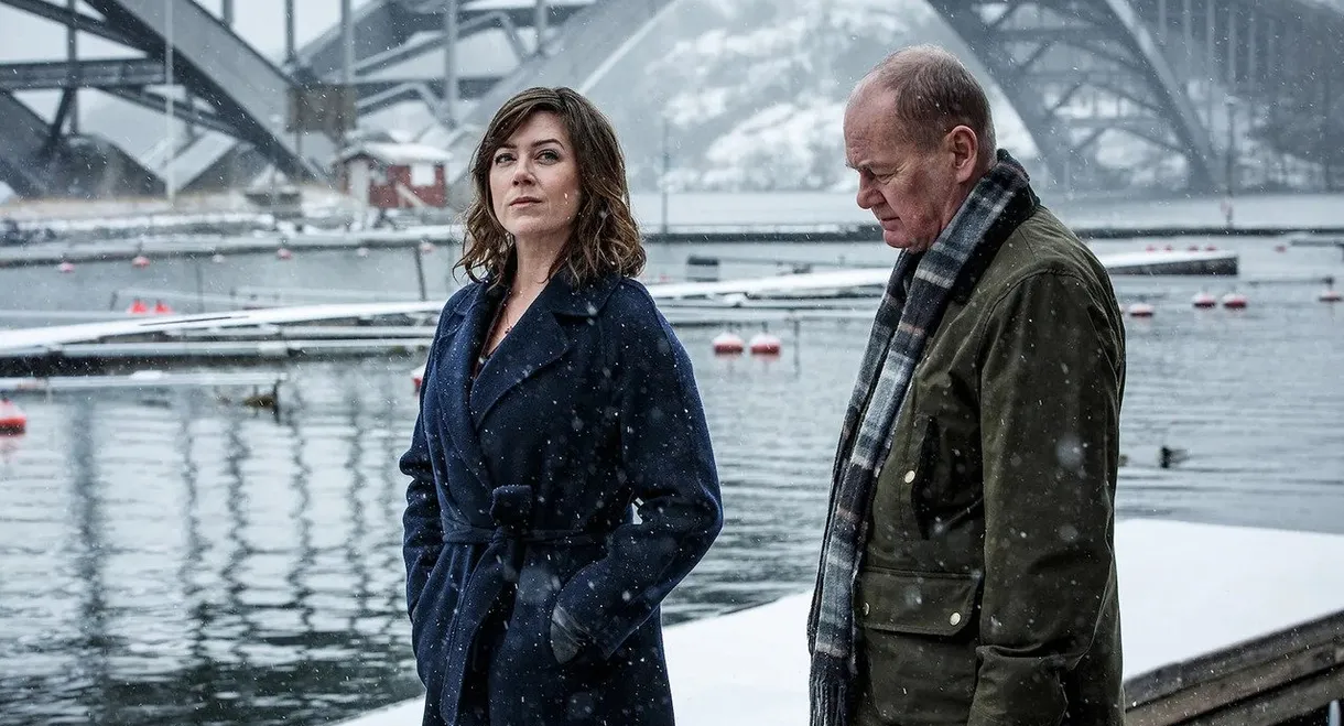 Beck 39 - Undercover