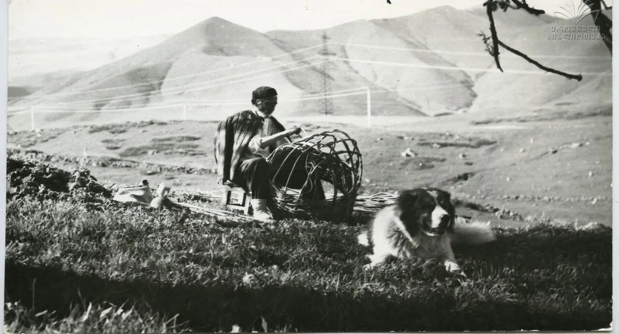 Loma, The Forgotten Friend