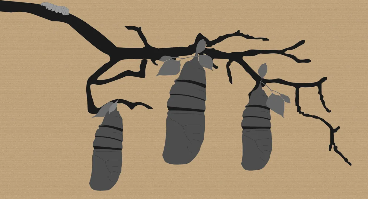 Reel #1: Surfing with Butterflies