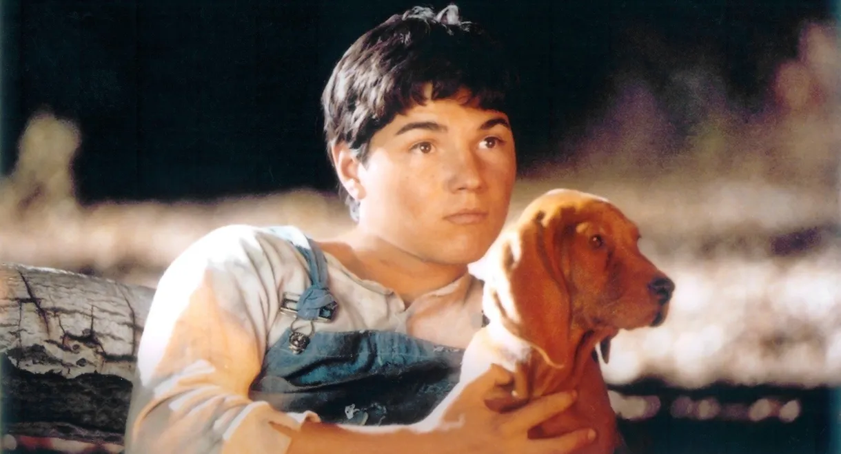 Where the Red Fern Grows