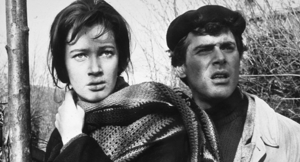 A Day for Lionhearts