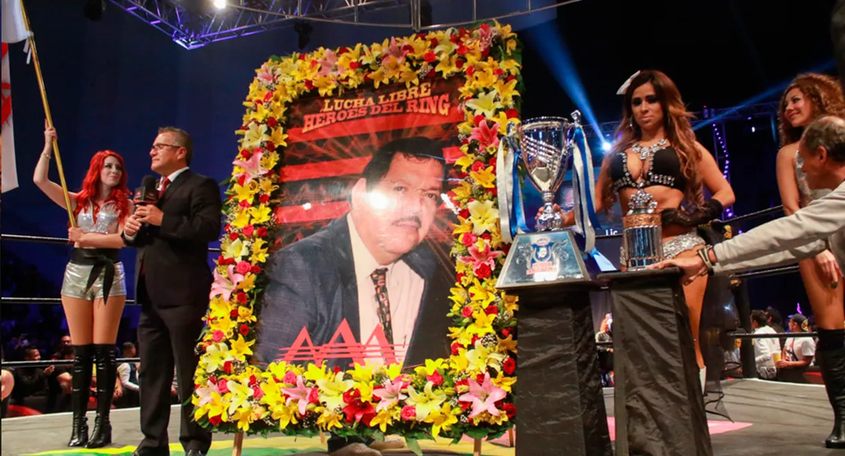 AAA Héroes Inmortales XII