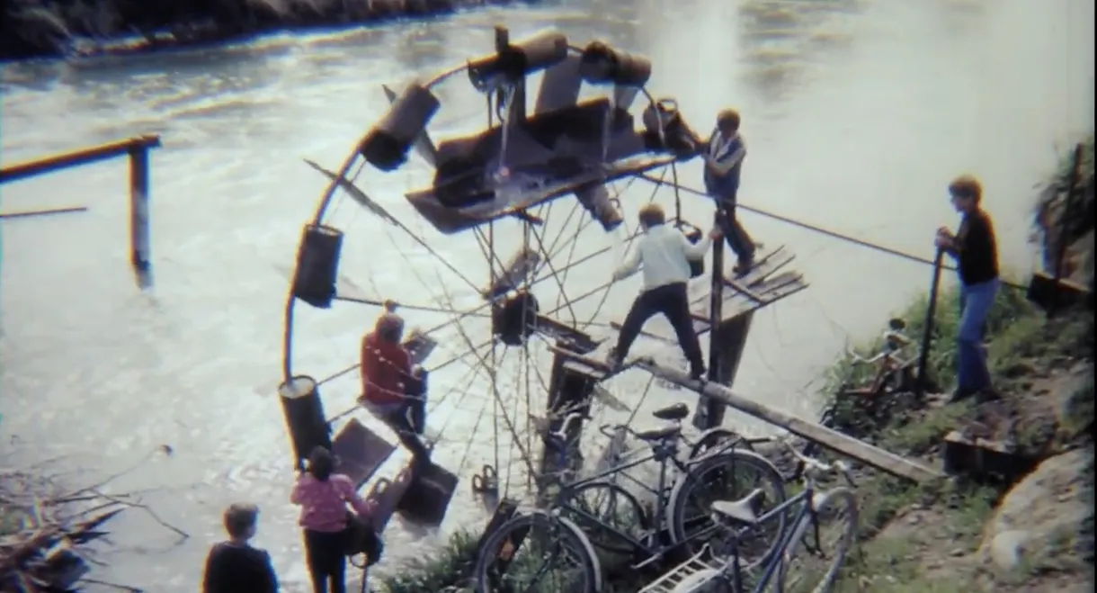 Where's Your Home, Snail?