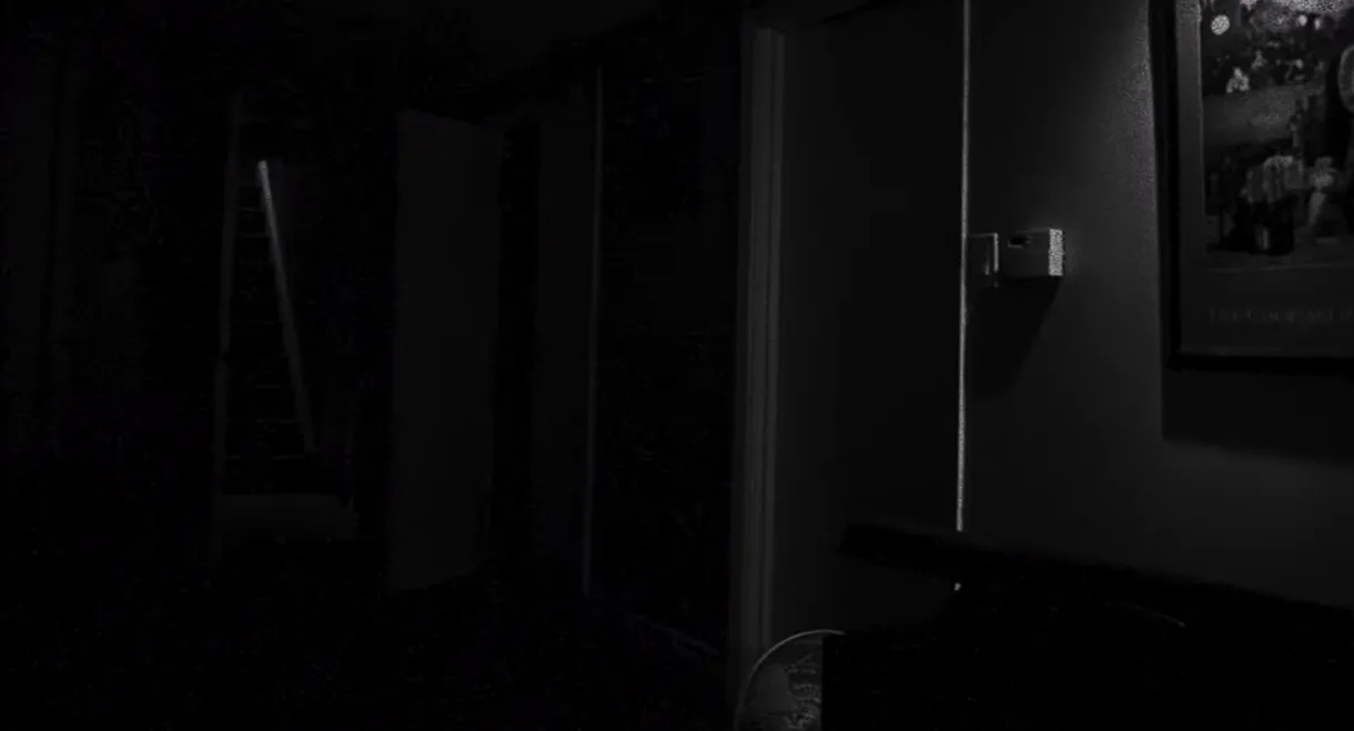 DO YOU SEE IT