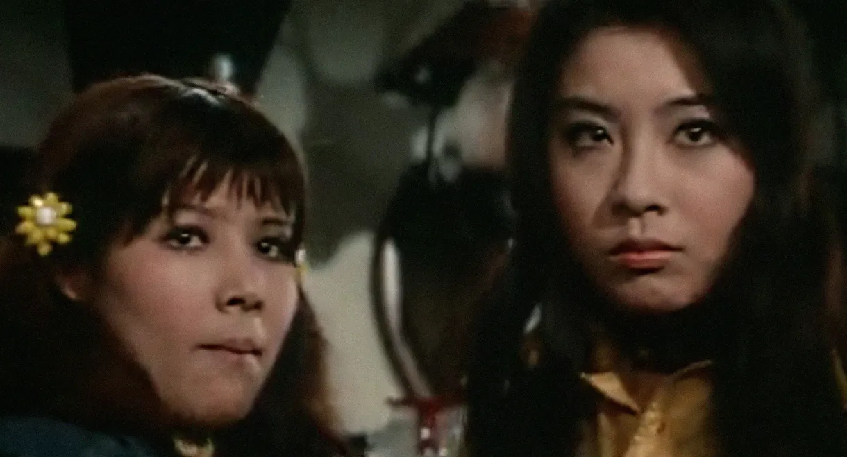 Delinquent Girl Boss: Ballad of Yokohama Hoods