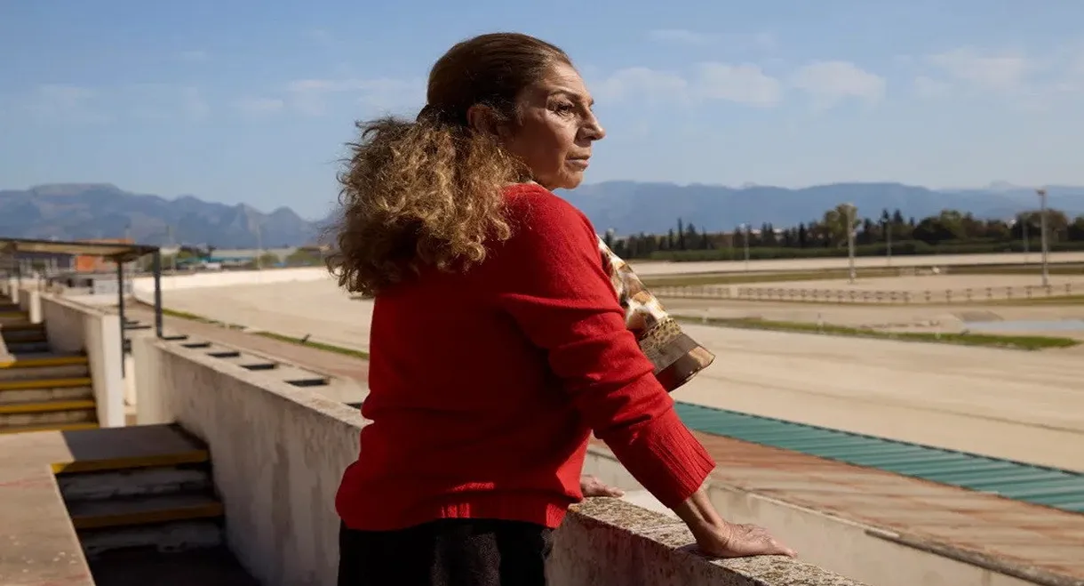 Mallorca Confidential