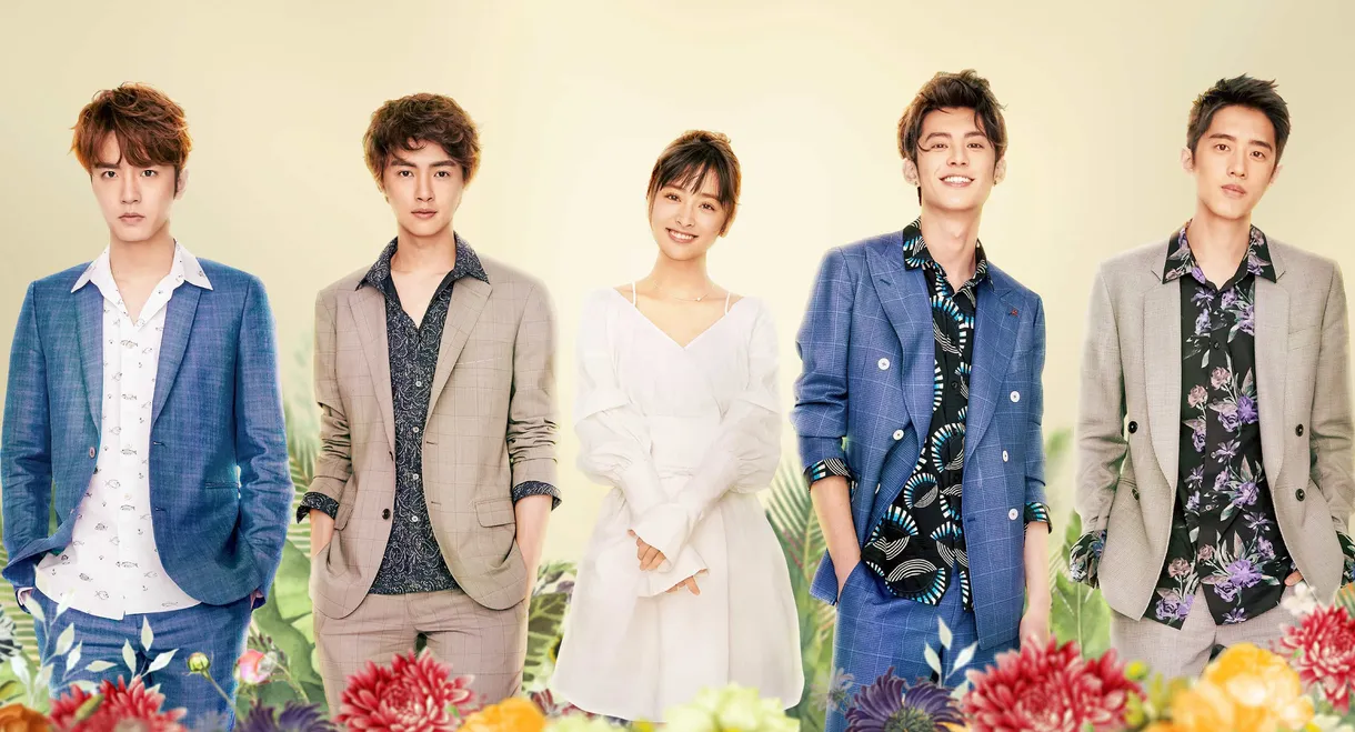 Meteor Garden