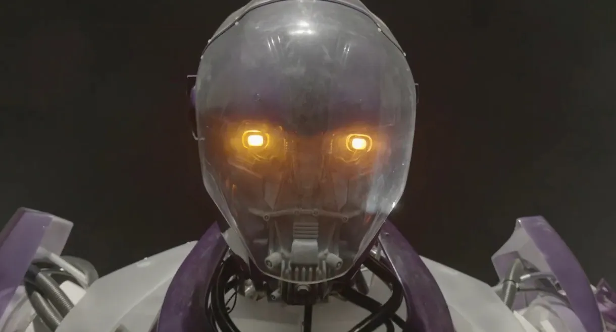 Sentinels: For a Secure Future