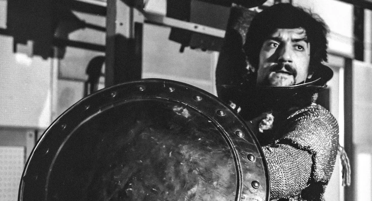 La fantastica storia di Don Chisciotte della Mancia