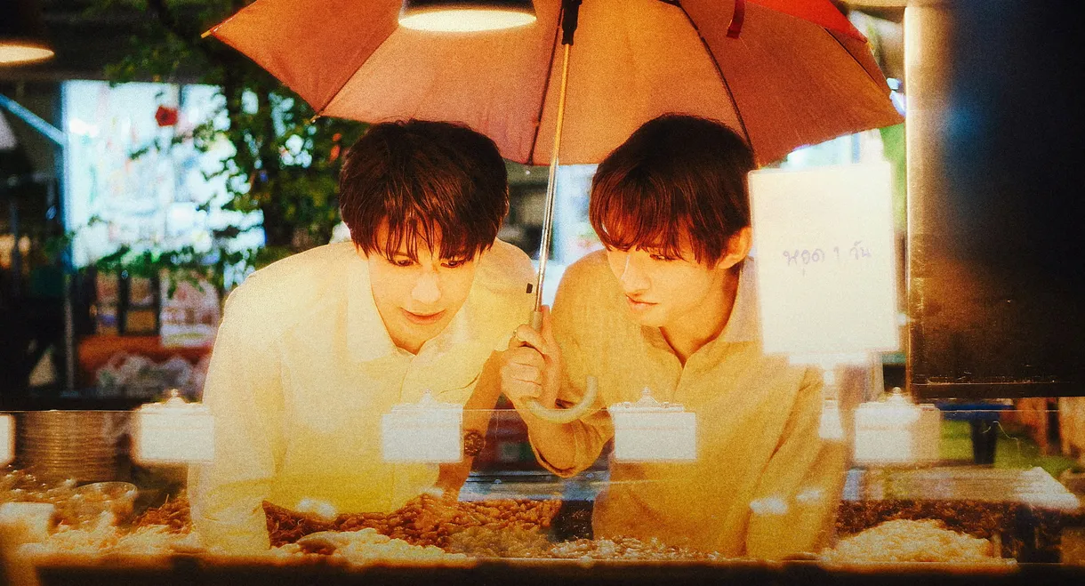 (Love Song)