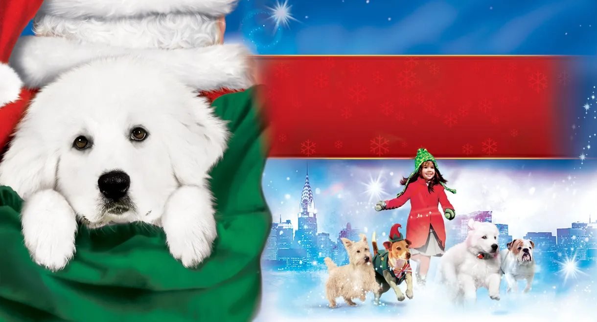 The Search for Santa Paws
