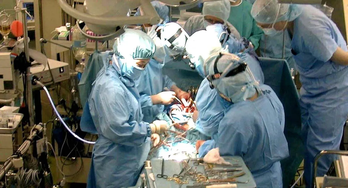 Der Streit um den Hirntod – Organspende auf dem Prüfstand