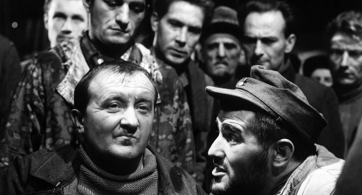 The Doctor of Stalingrad