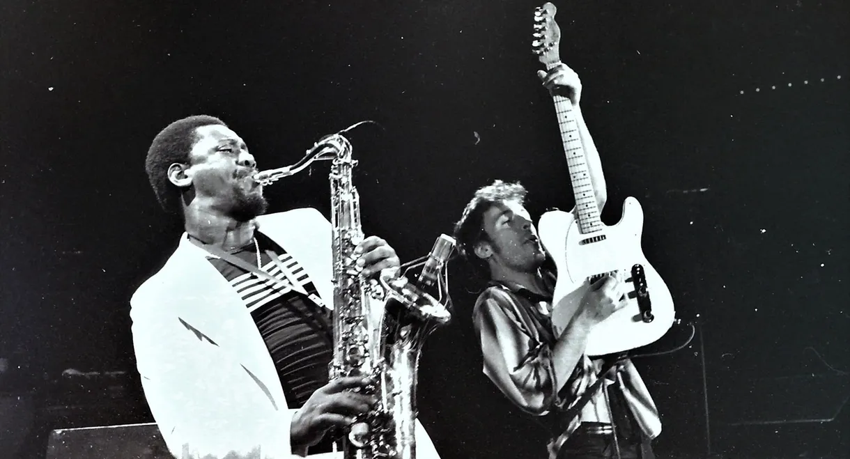 Bruce Springsteen & the E Street Band Houston '78 Bootleg: House Cut