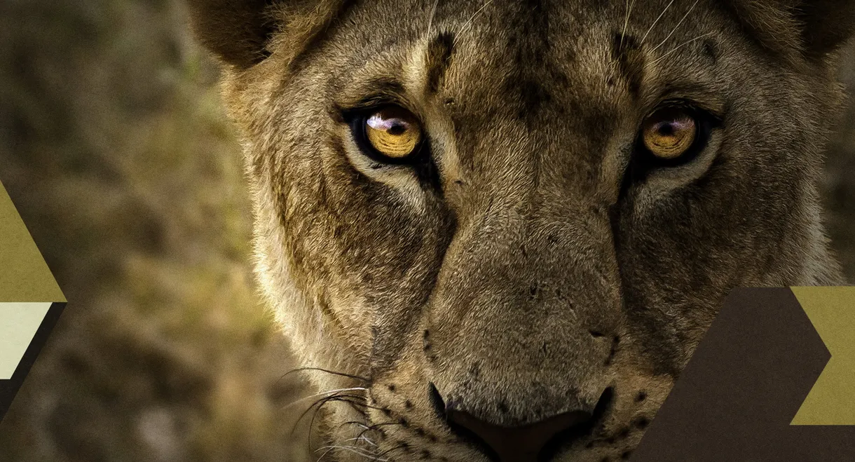 Malika the Lion Queen